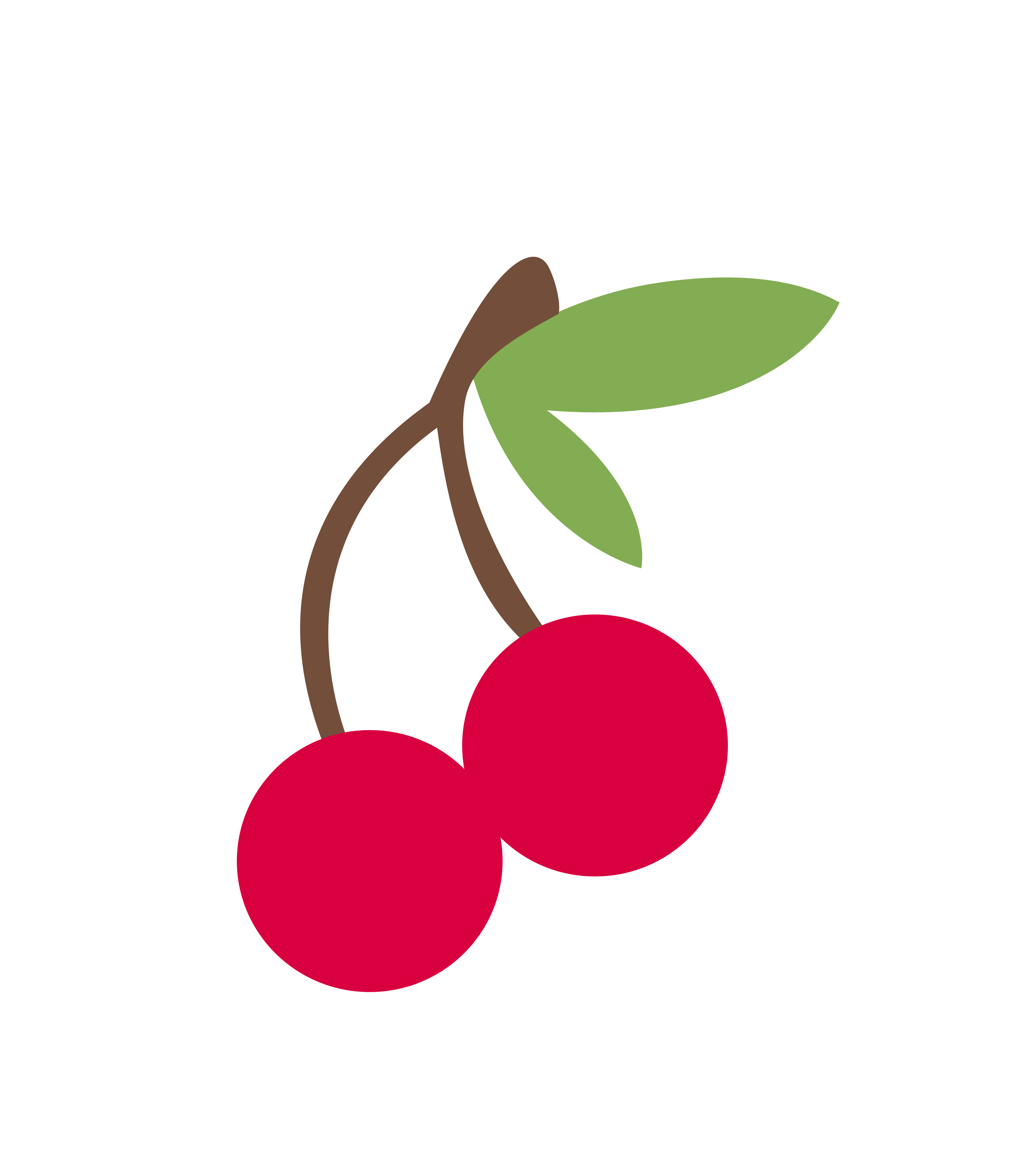 Cherry Icon PNG Image in Transparent - Cherry Png