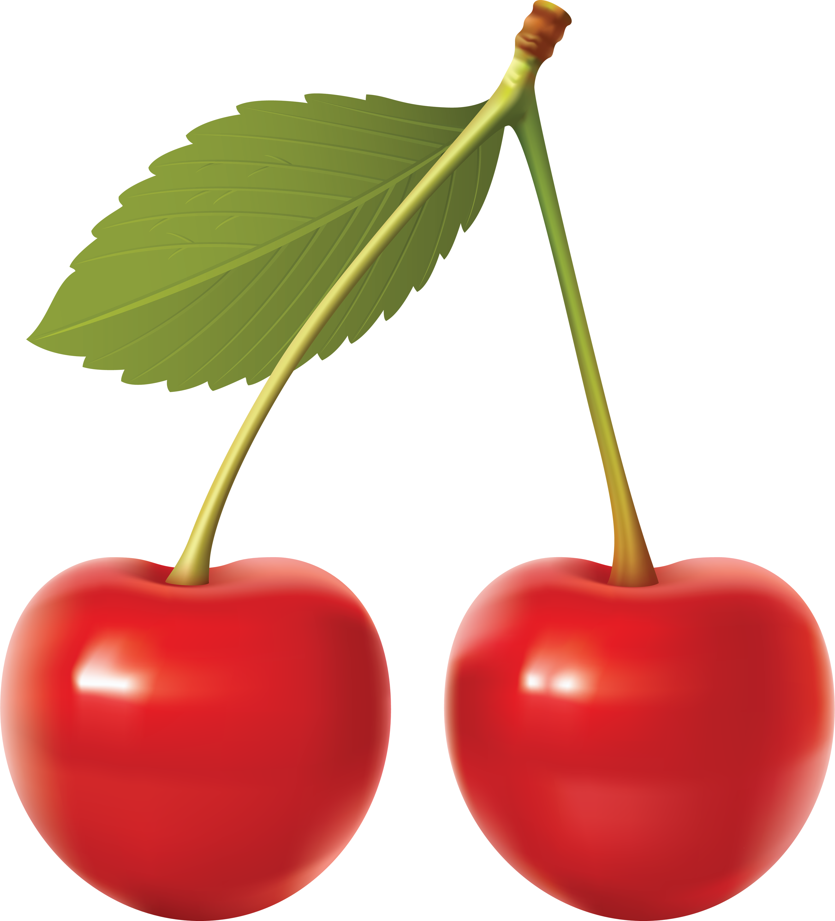 Cherry PNG