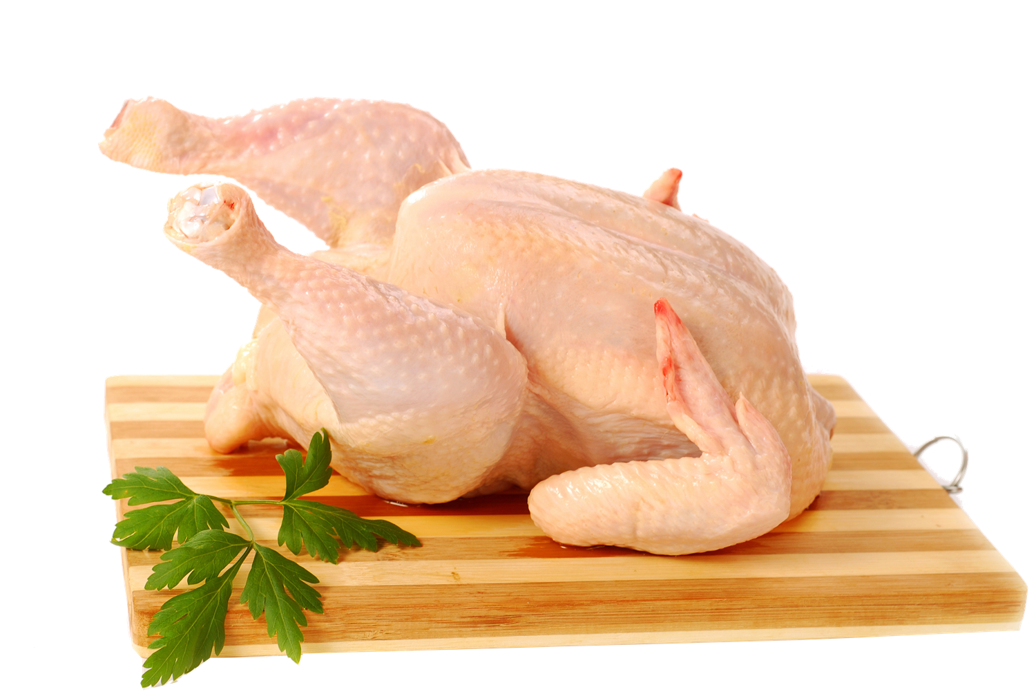 Chicken PNG Best Image - Chicken Png