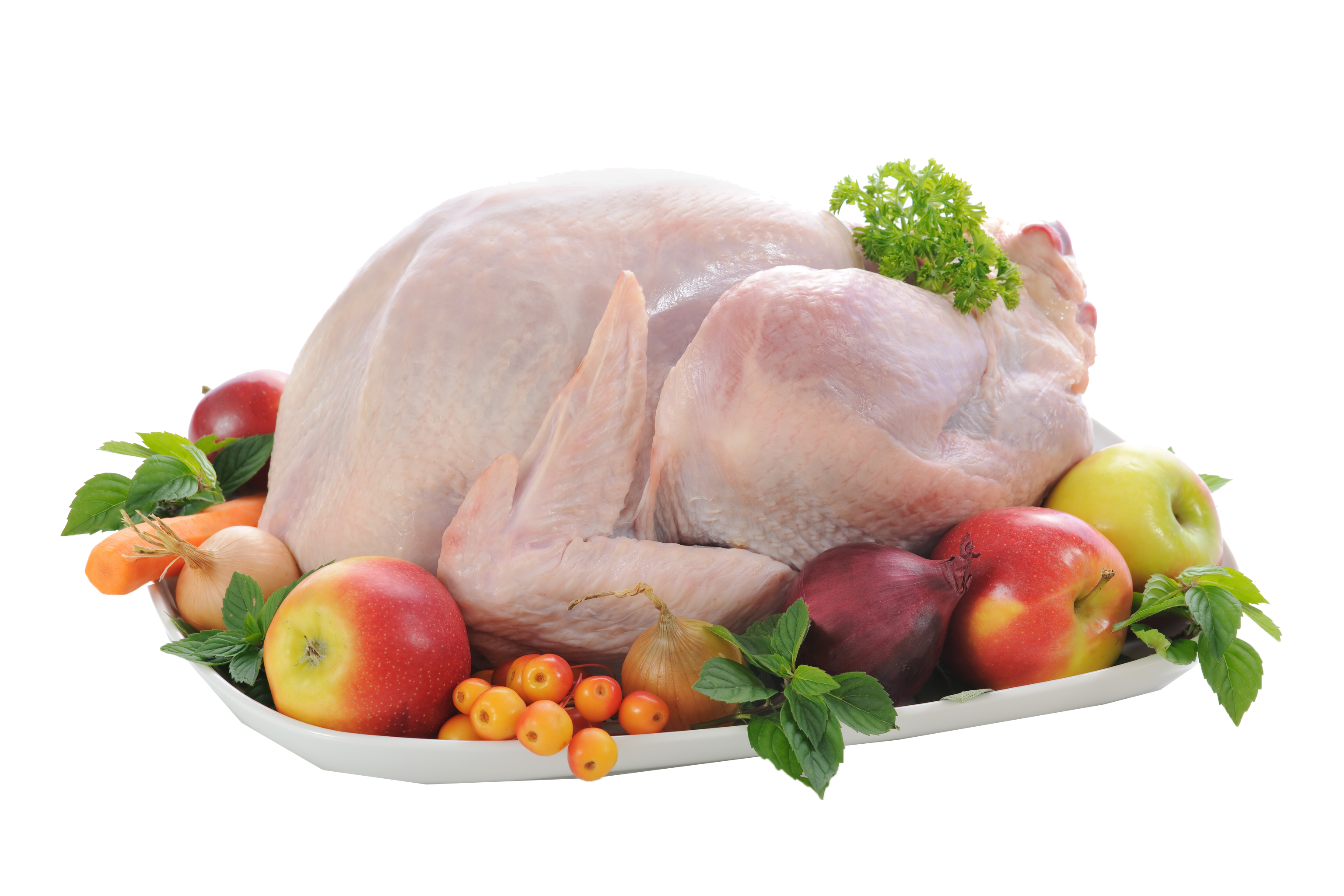 Chicken PNG HD Image pngteam.com