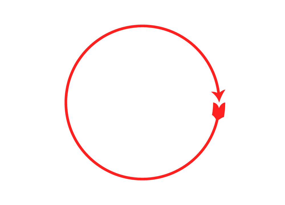 Circle PNG Transparent - Circle Png