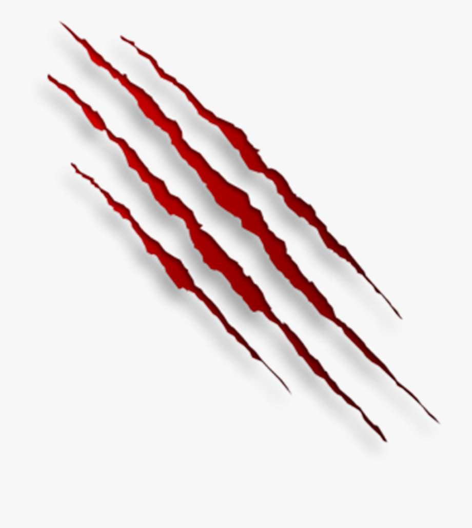 Claw Scratch PNG Image in High Definition pngteam.com