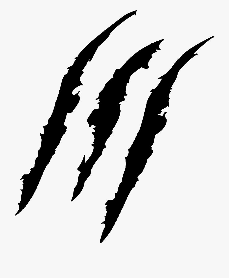 Claw Scratch PNG Photo pngteam.com