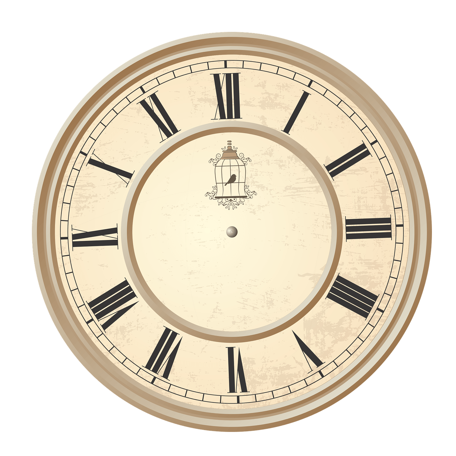 Clock Roman Numerals Birdcage Transparent PNG  - Clock Png