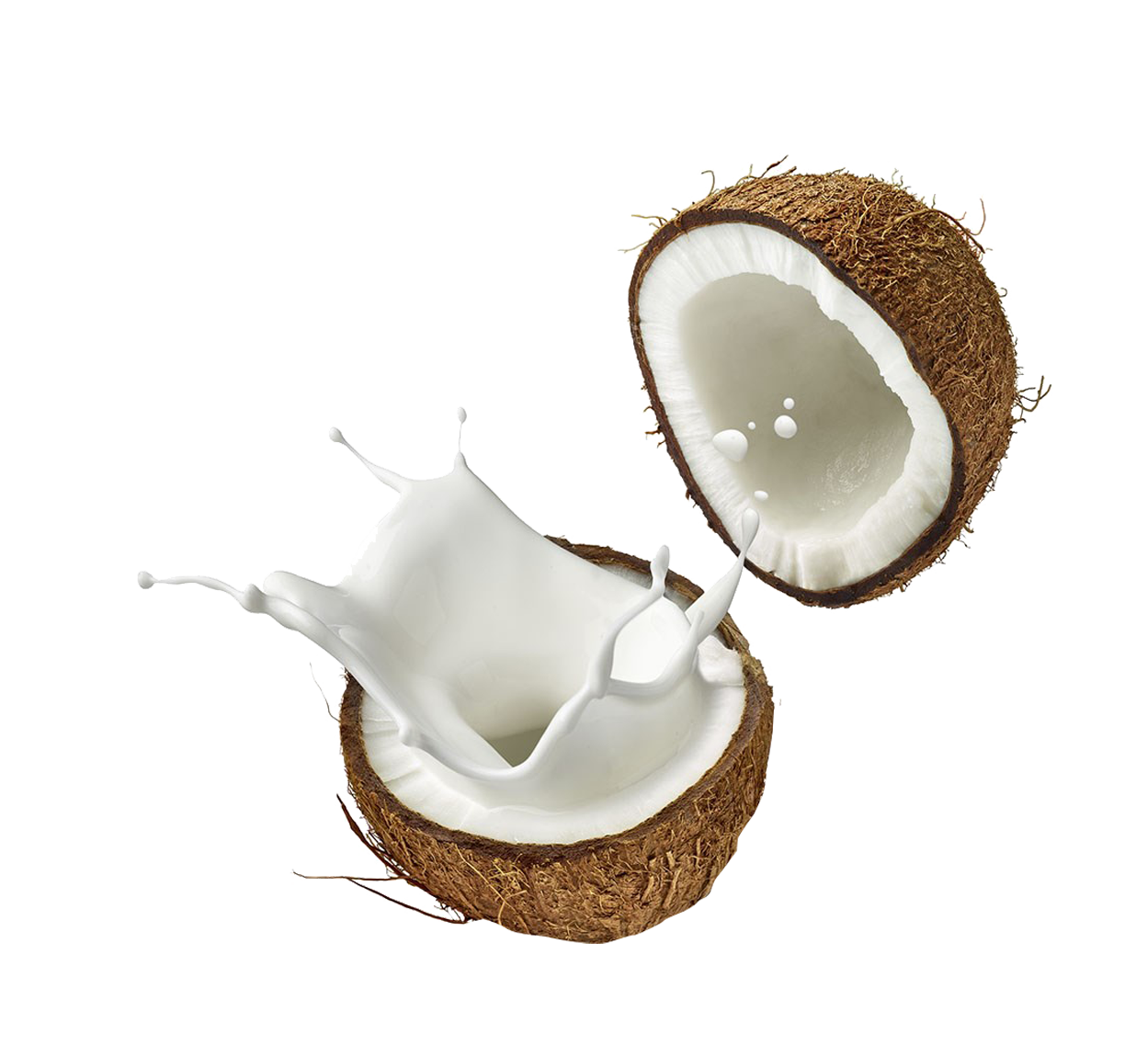 Coconut and Milk PNG Transparent - Coconut Png
