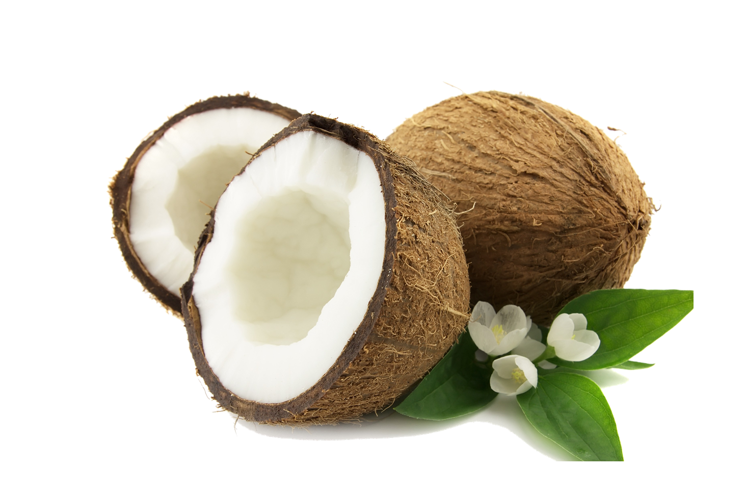 Кокос это ягода или орех. Кокос - отдушка (100 мл). Кокос на прозрачном фоне. Кокос на белом фоне. Сорта кокоса.