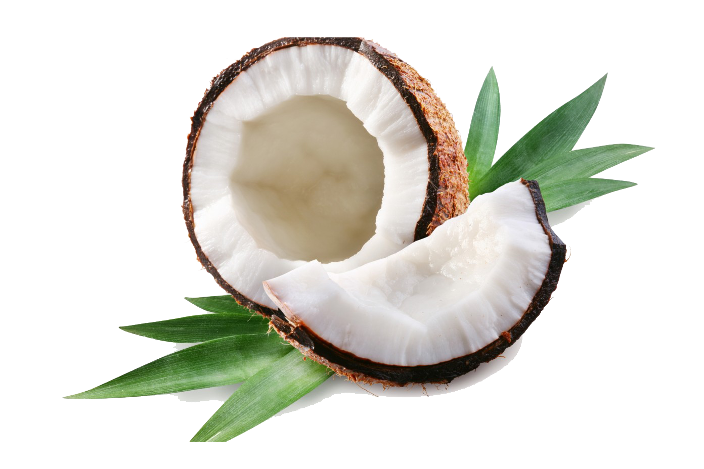 Coconut PNG File - Coconut Png
