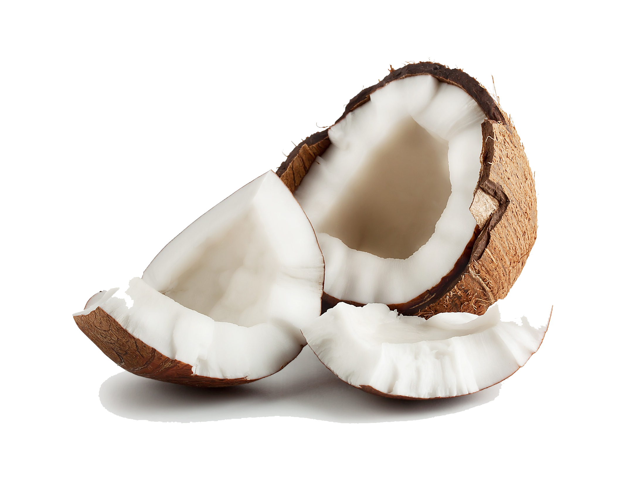 Coconut PNG Image in Transparent
