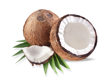 Coconut PNG File pngteam.com