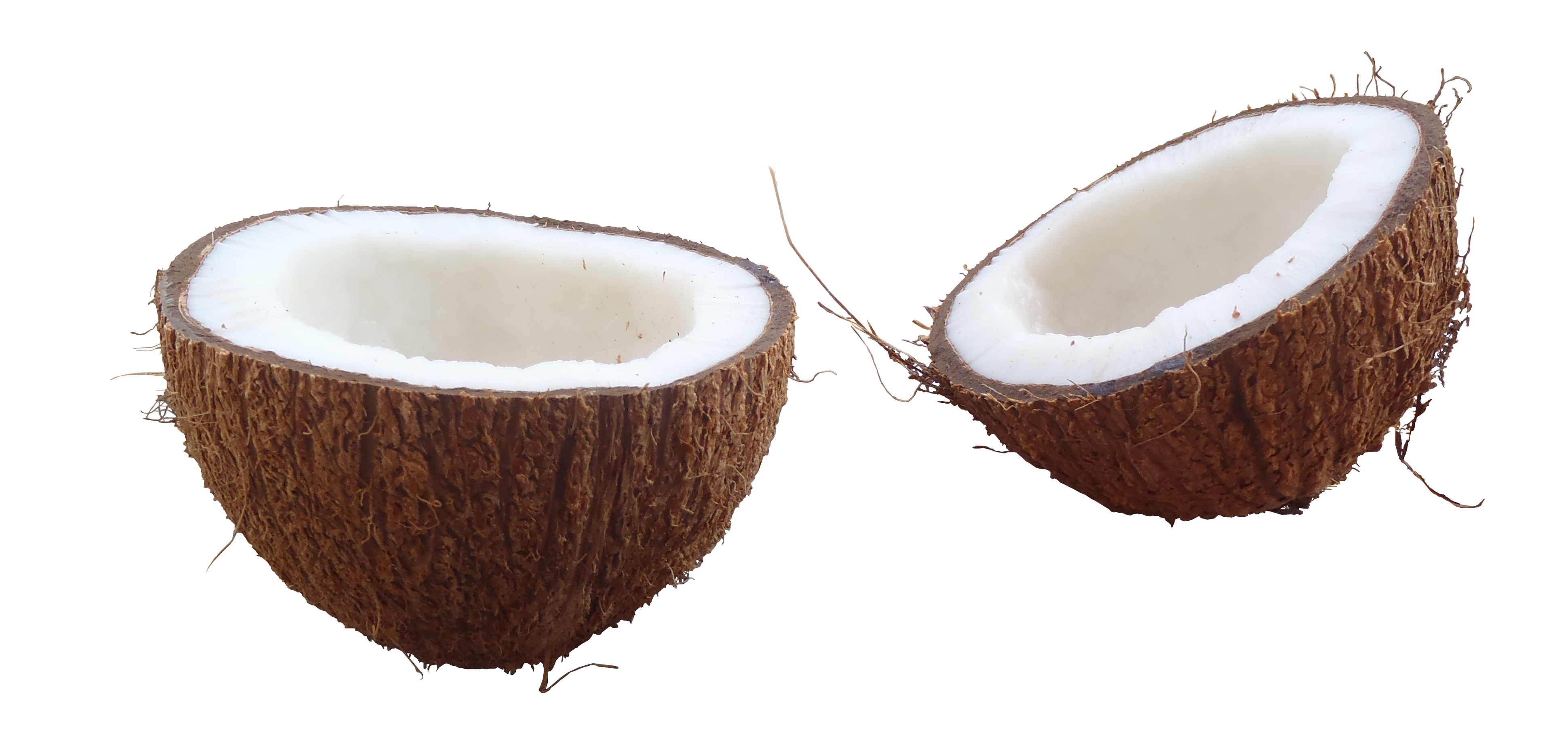 Coconut Piece PNG HD  - Coconut Png