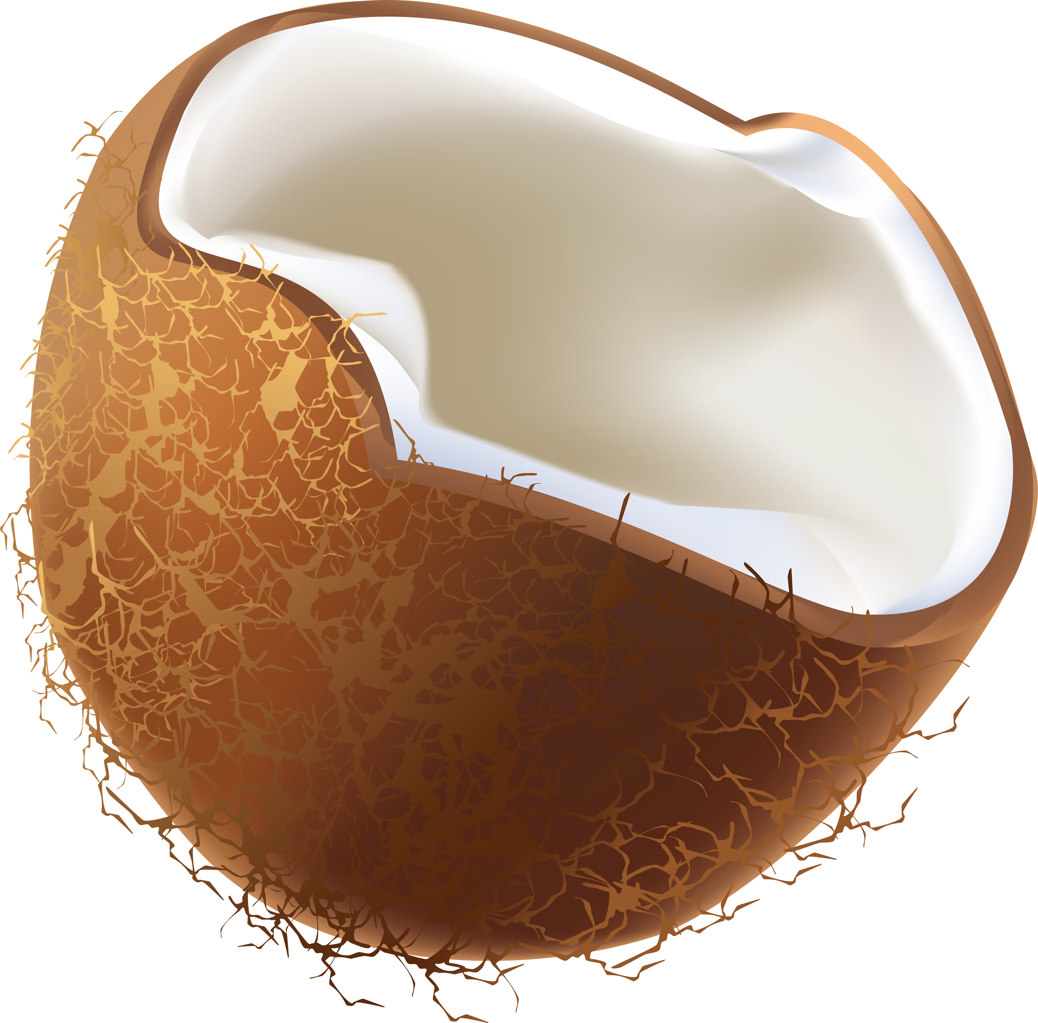Coconut PNG HD - Coconut Png