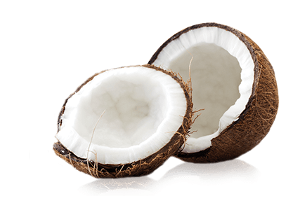 Coconut PNG HD Images