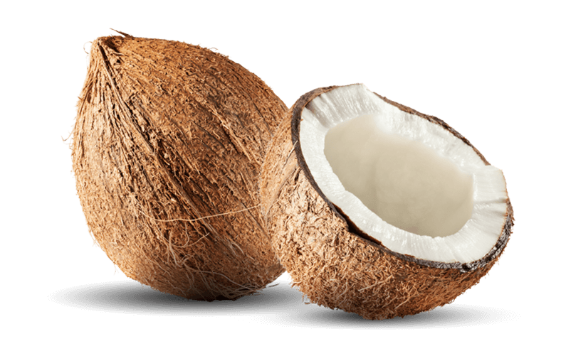 Coconut PNG Images Transparent Free Download - Coconut Png