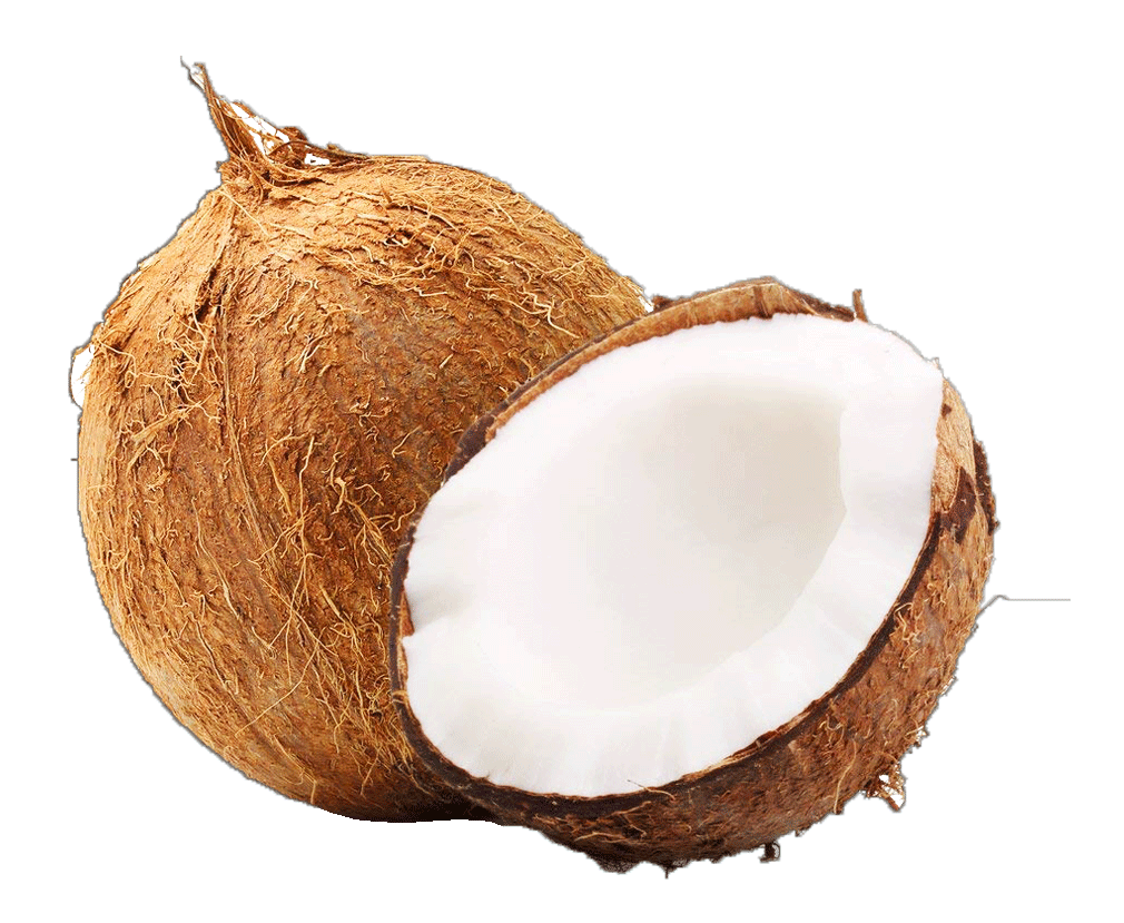 Coconut PNG HQ - Coconut Png