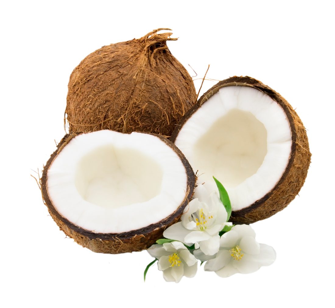 Coconut PNG Transparent - Coconut Png
