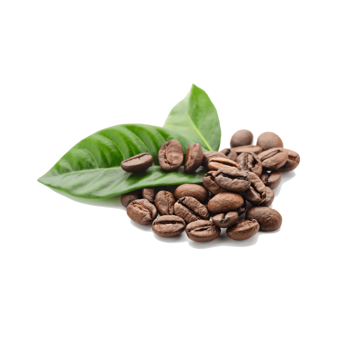 Coffee Beans Leaves PNG HD - Coffee Beans Png