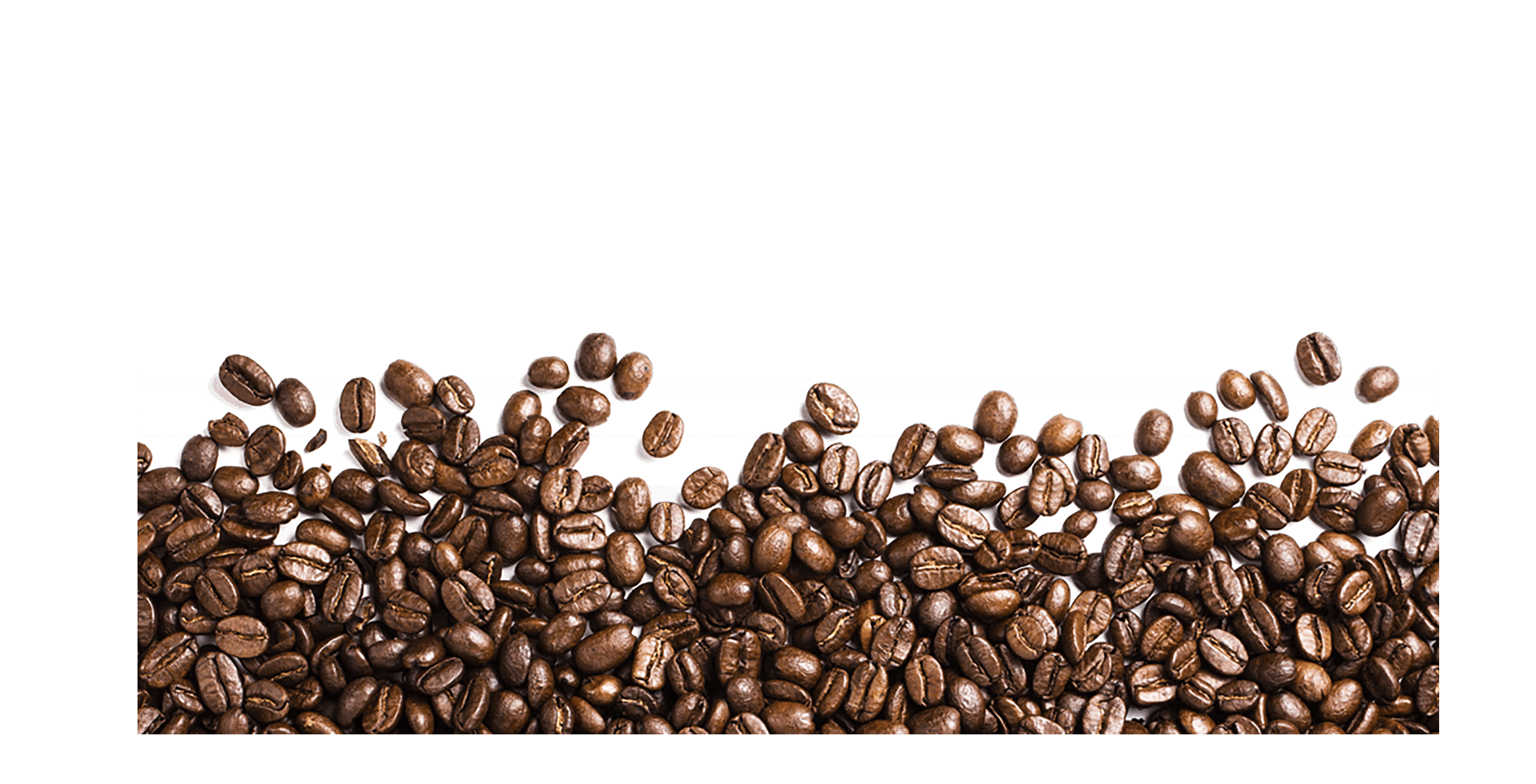 Coffee Beans Footer PNG HD File