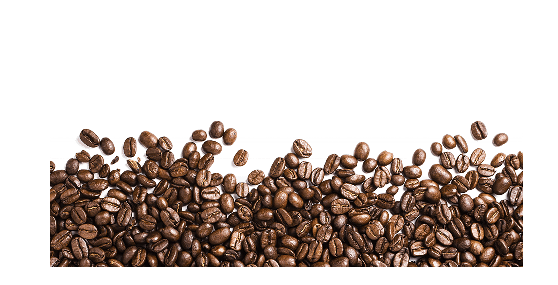 Coffee Seed PNG 94789 475x315 Pixel Pngteam