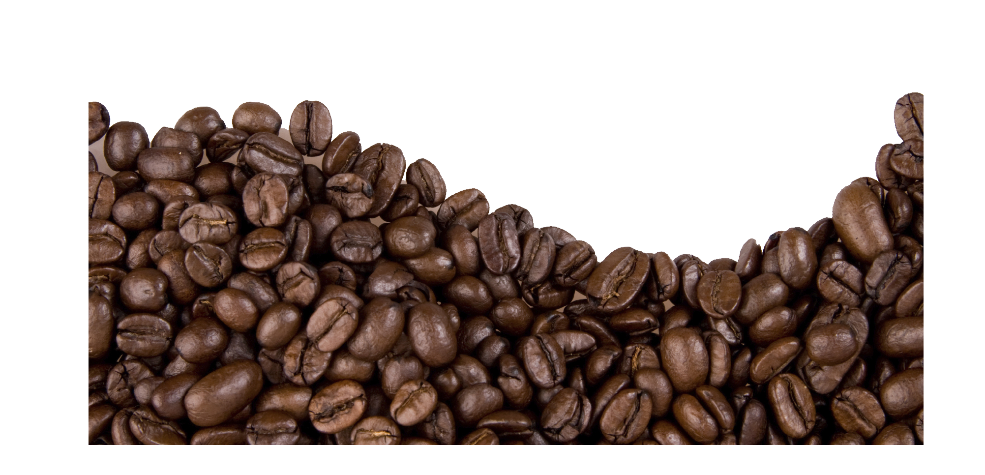 Coffee Bean Cafe Cocoa Bean PNG HD pngteam.com