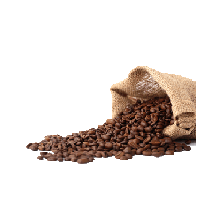 Coffee Beans PNG HQ pngteam.com