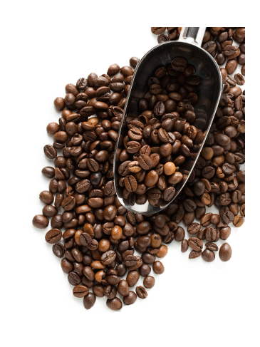 Coffee Beans PNG Best Image pngteam.com