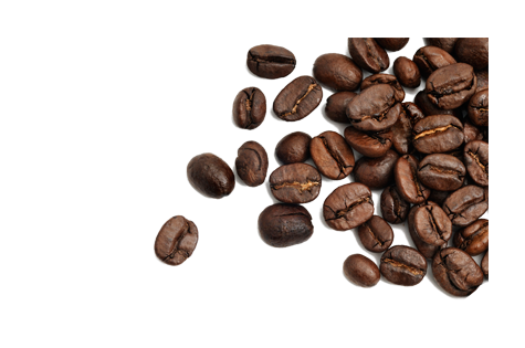 Coffee Seed PNG
