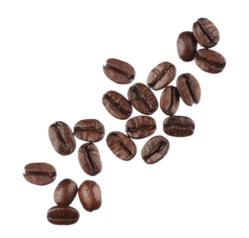 Coffee Beans PNG HD - Coffee Beans Png