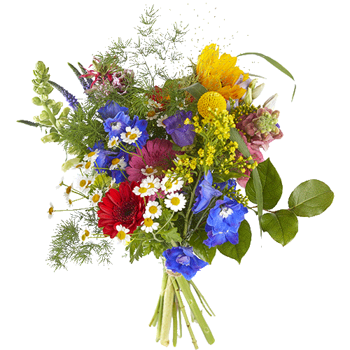 Congratulation Flower PNG HD and HQ Image - Congratulation Flower Png