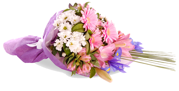 Congratulation Flower PNG Transparent