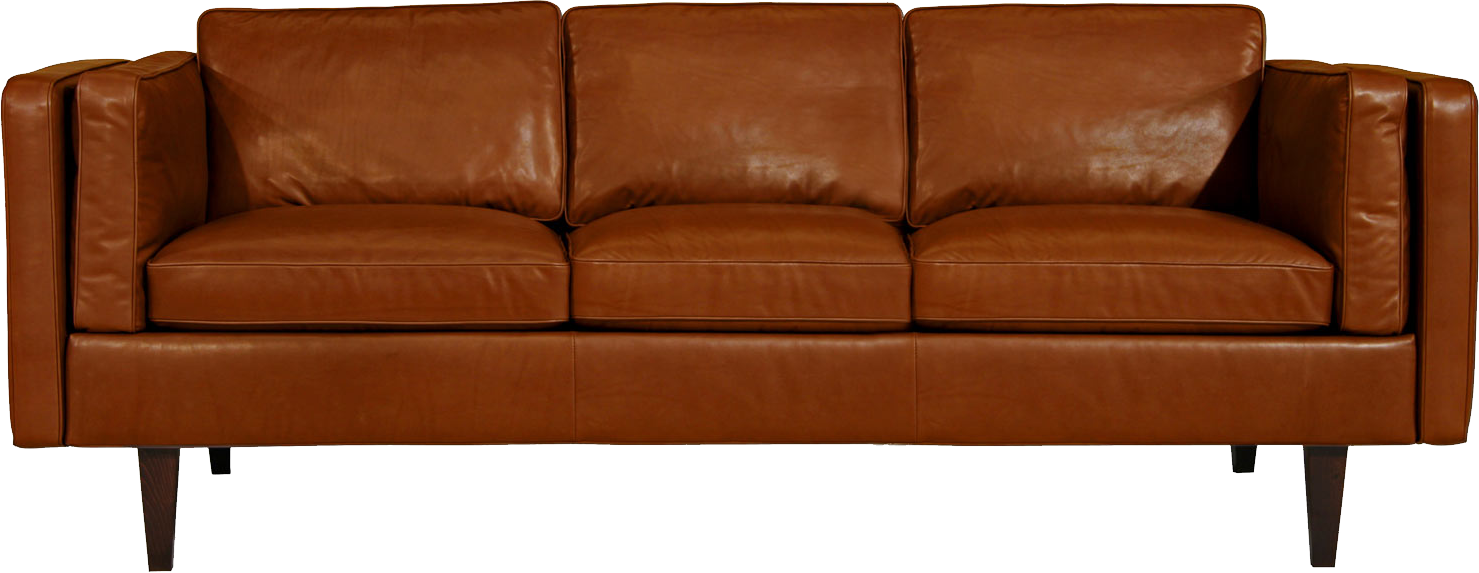 Couch PNG in Transparent pngteam.com