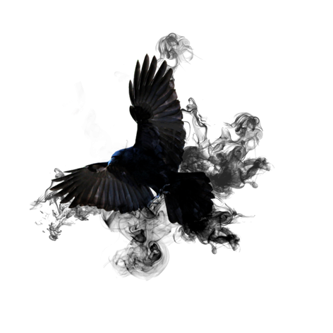 Crow Smoke Effect PNG HD