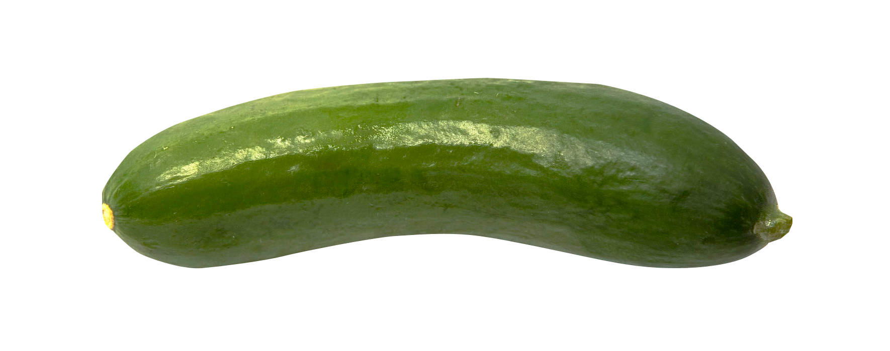 Cucumber PNG Images - Cucumber Png