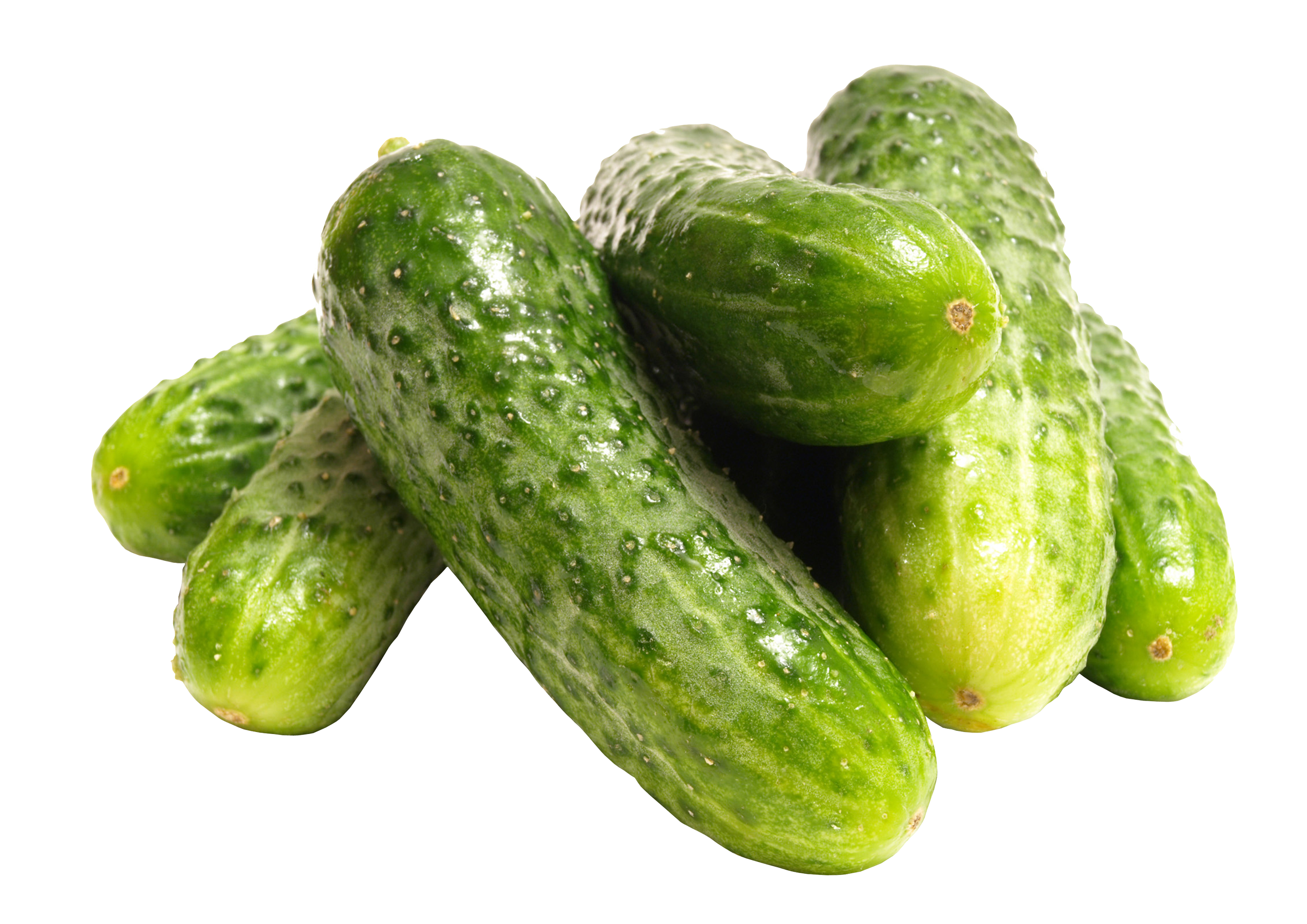 Cucumber Pickle PNG HD  - Cucumber Png
