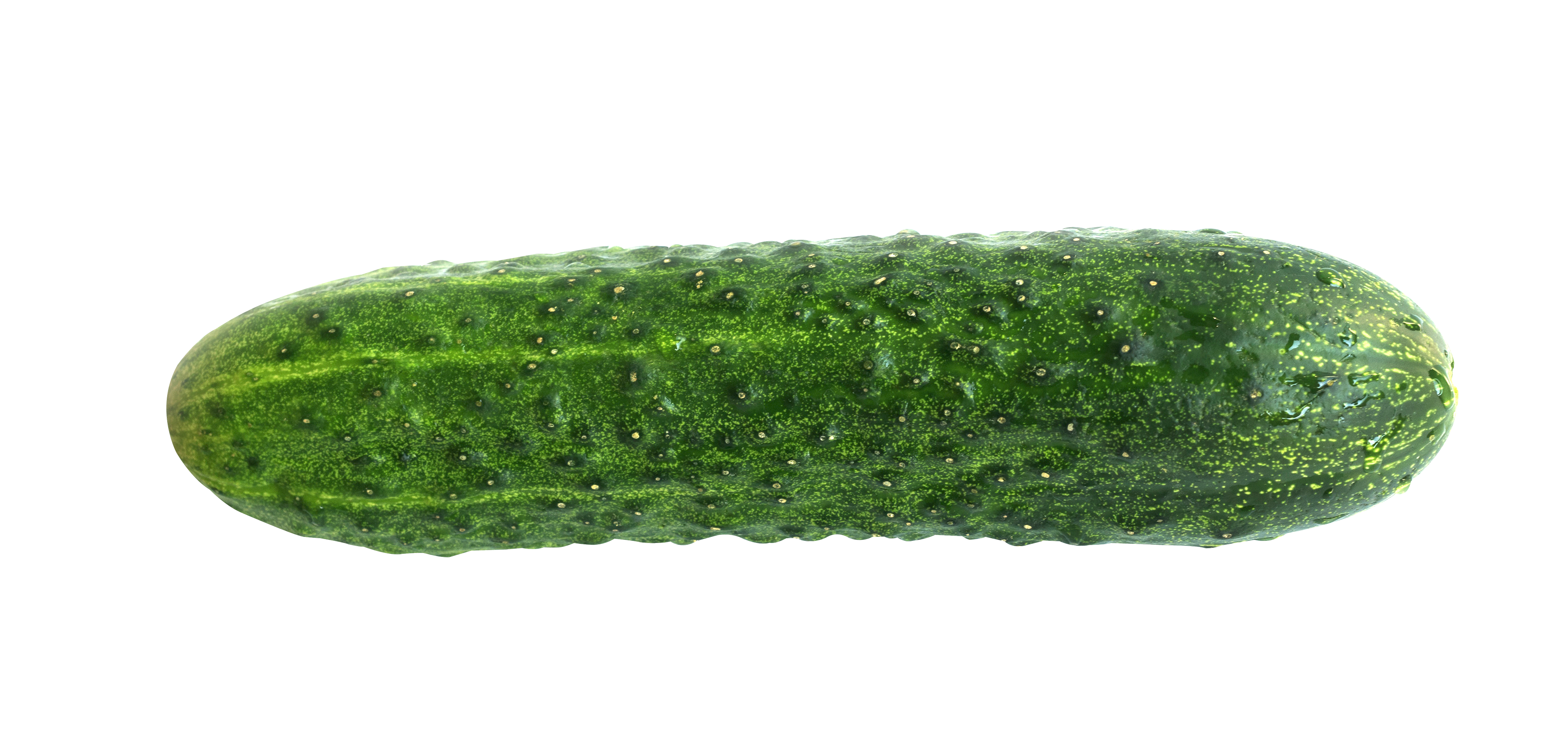 Cucumber PNG HD Image