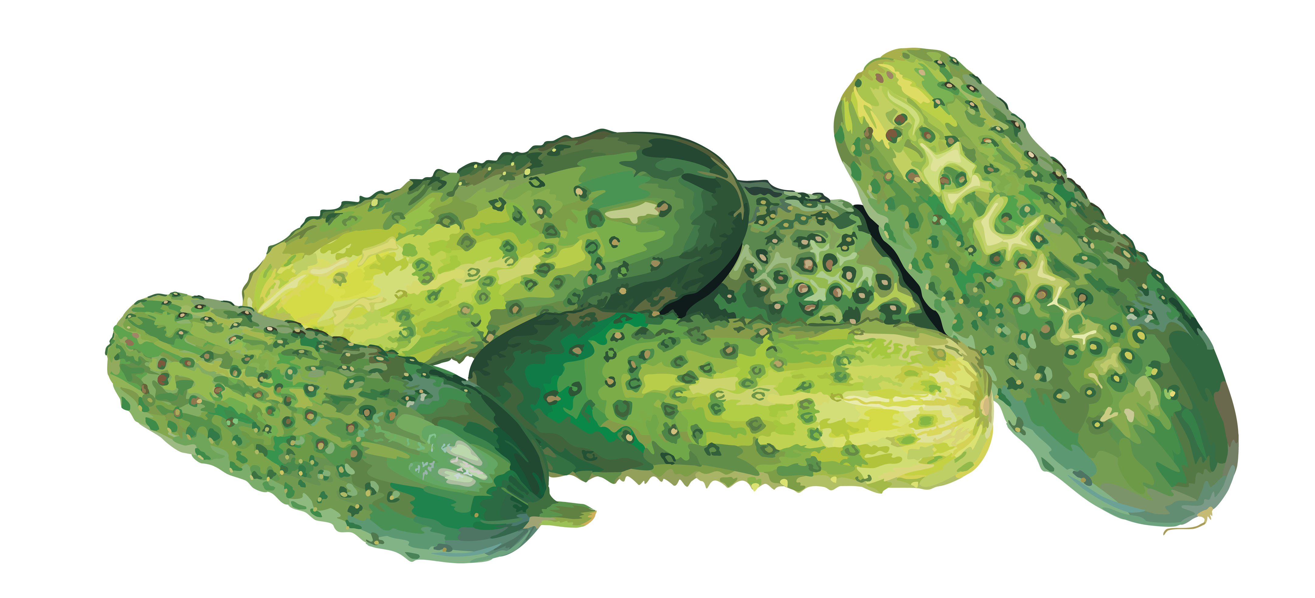 Cucumber PNG in Transparent