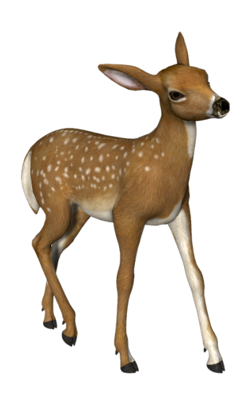 Mini Baby Deer PNG HQ