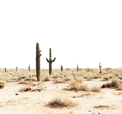 Desert PNG in Transparent - Desert Png