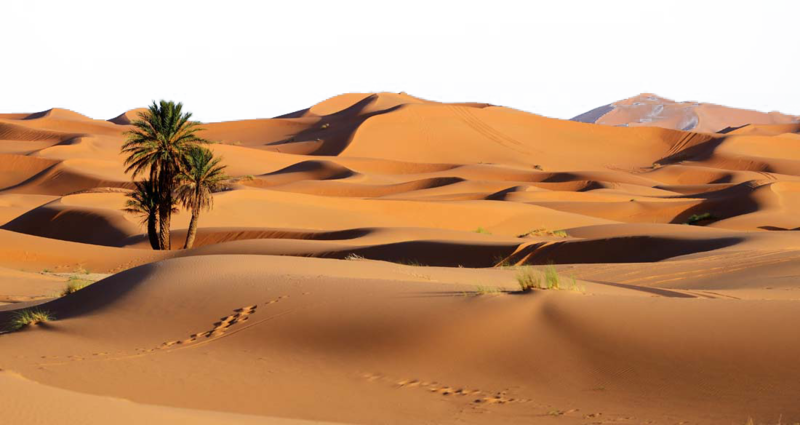 Desert PNG Image in Transparent - Desert Png