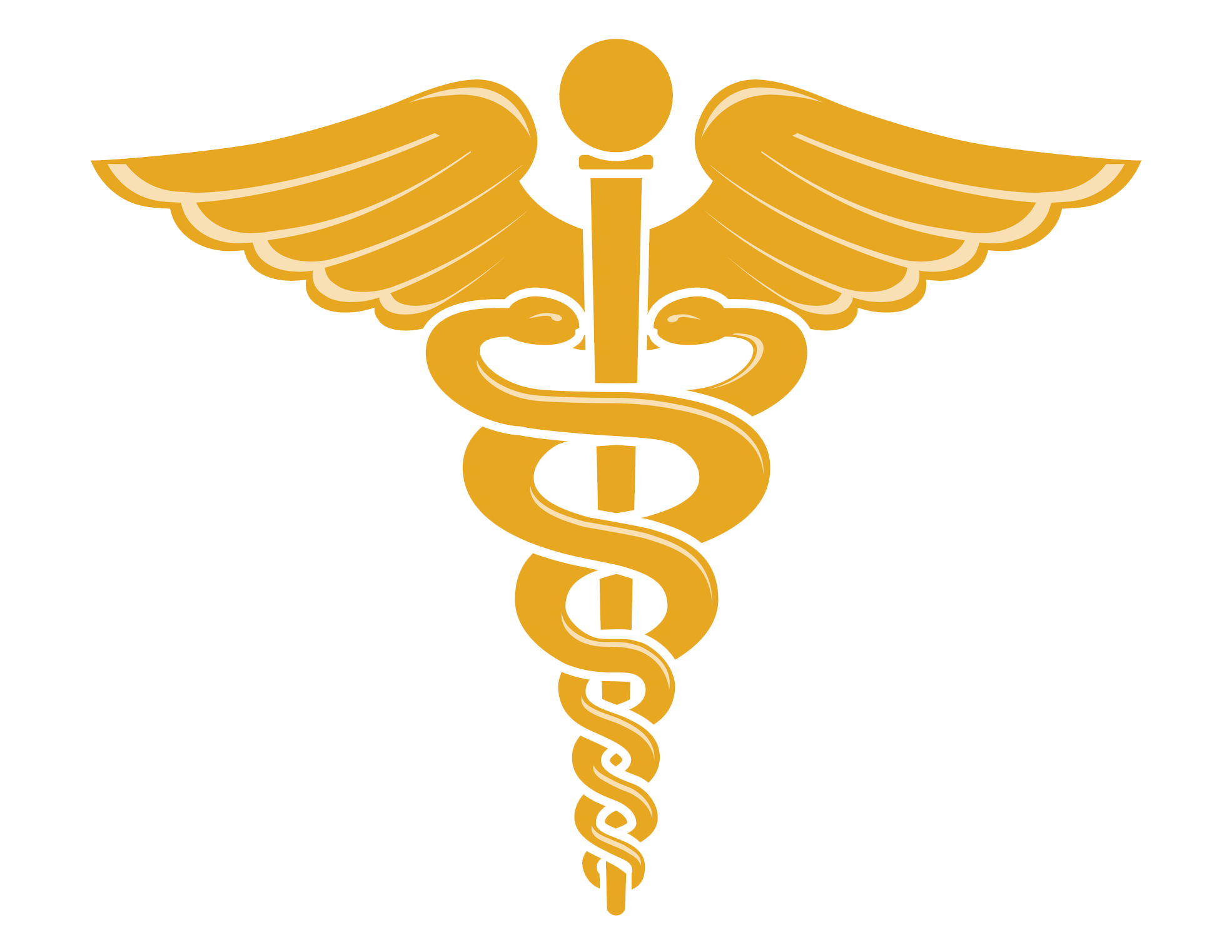 Doctor Symbol Caduceus PNG Image in Transparent pngteam.com