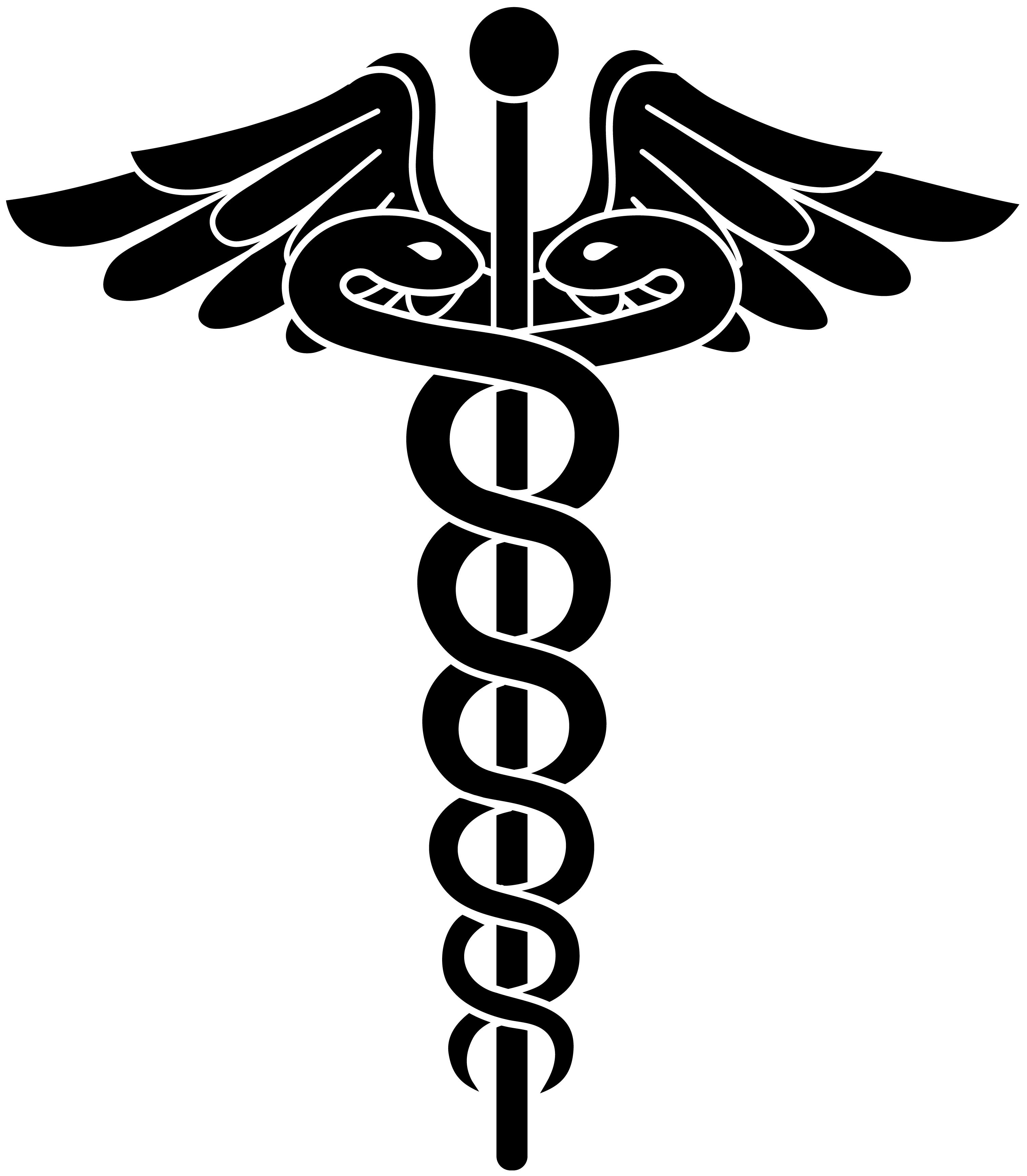 Doctor Symbol Caduceus PNG HD pngteam.com