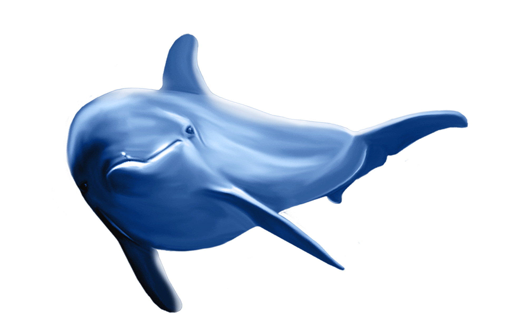 Dolphin PNG HD File pngteam.com