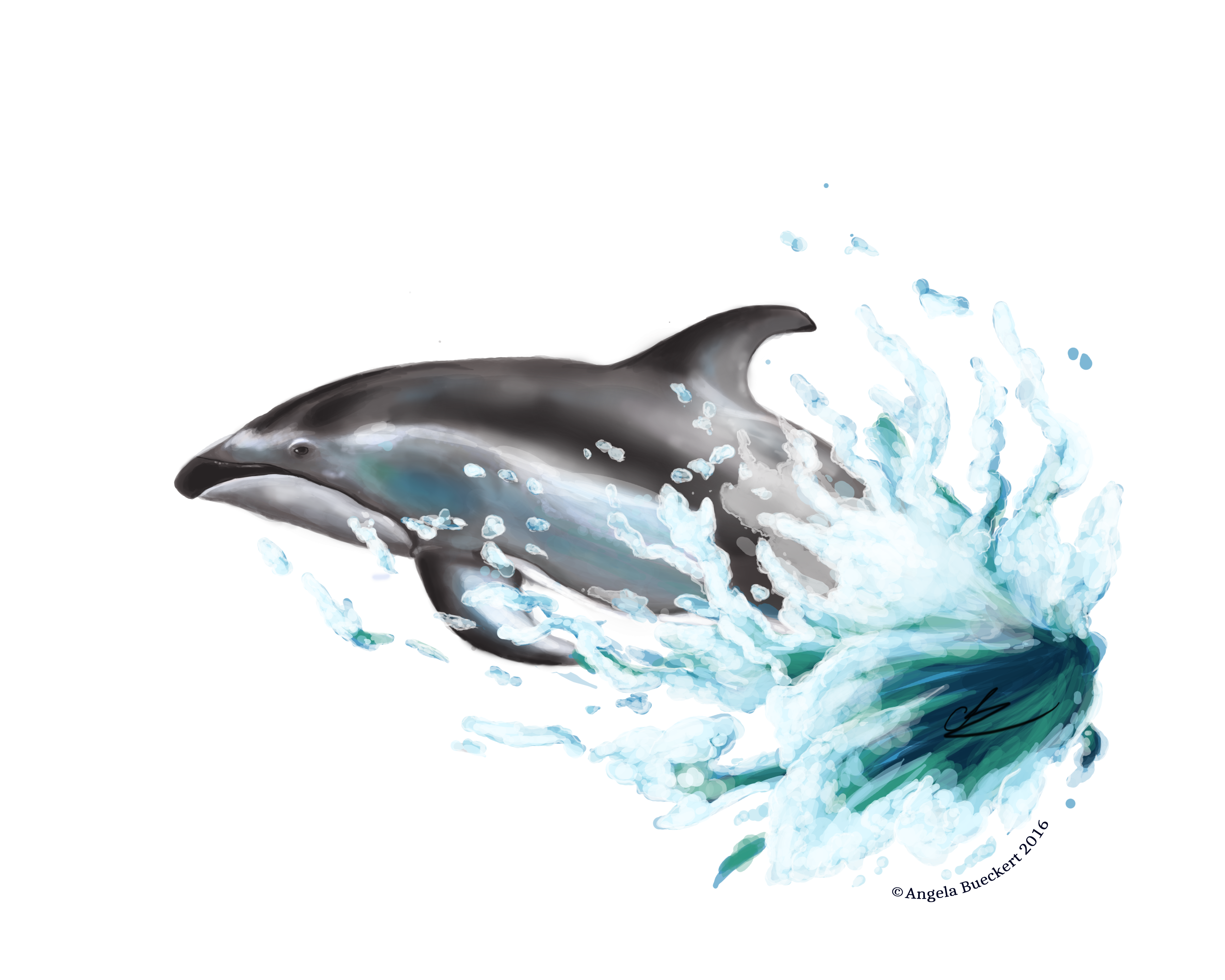 Jumping Dolphin PNG in Transparent - Dolphin Png