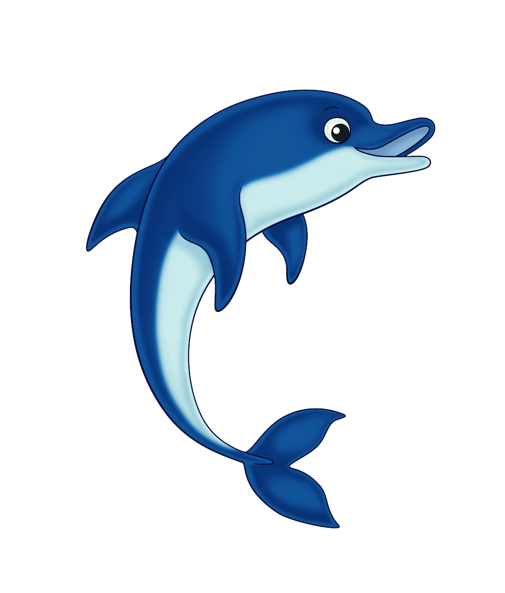 Dolphin Icon PNG HD File pngteam.com