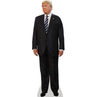 Donald Trump Standing PNG HD  Transparent pngteam.com