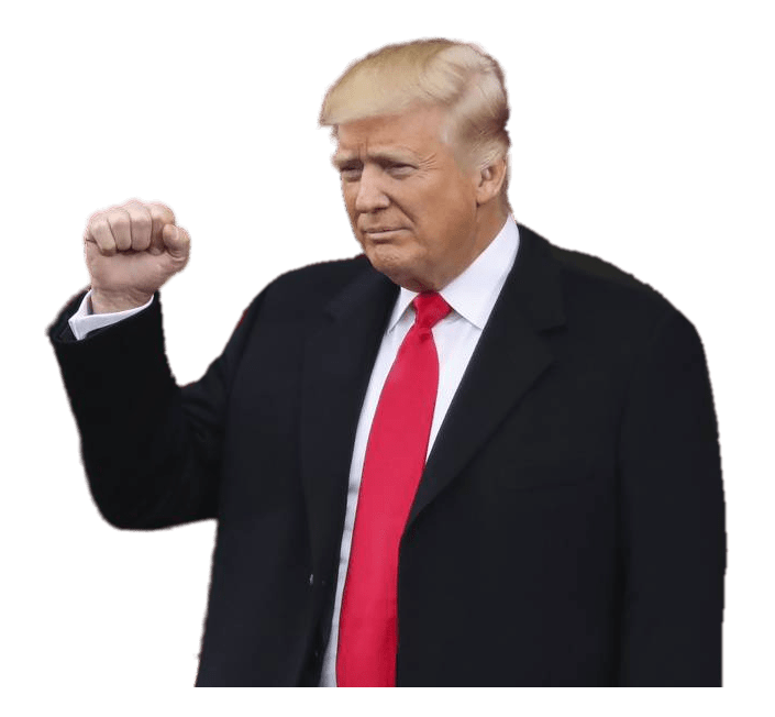 Donald Trump Punch PNG HD Images Transparent pngteam.com