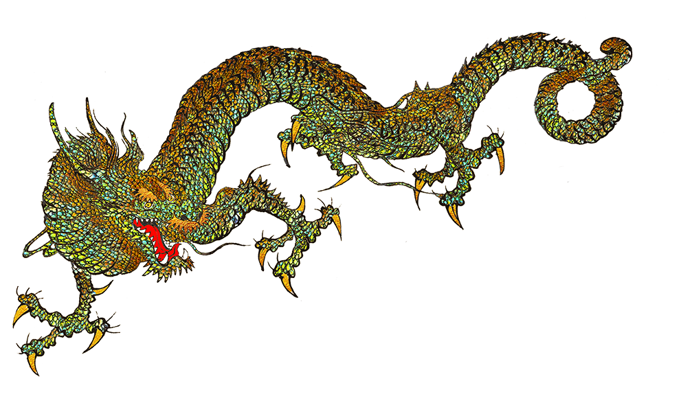 Dragon PNG Image in High Definition pngteam.com