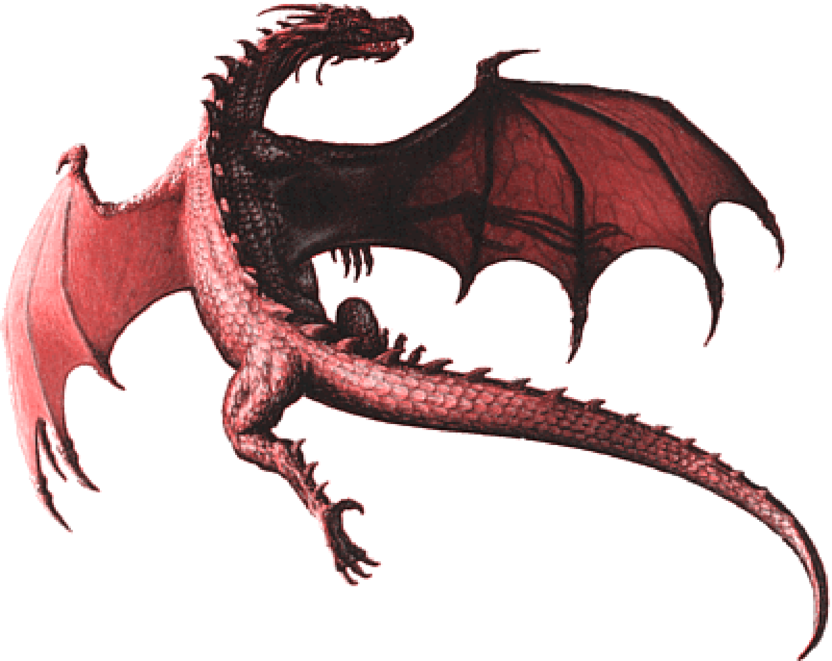 Dragon PNG File pngteam.com