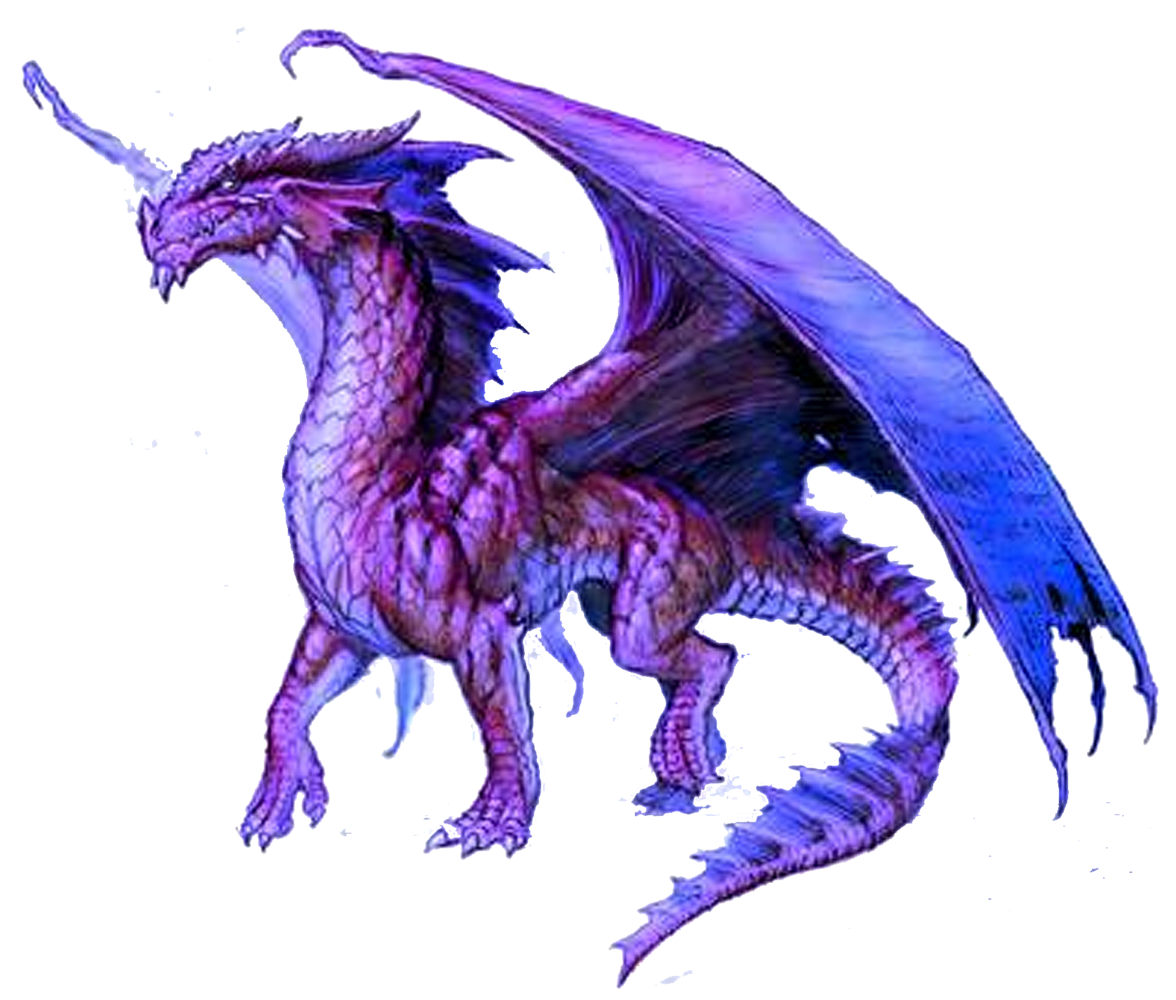 Dragon PNG HD pngteam.com