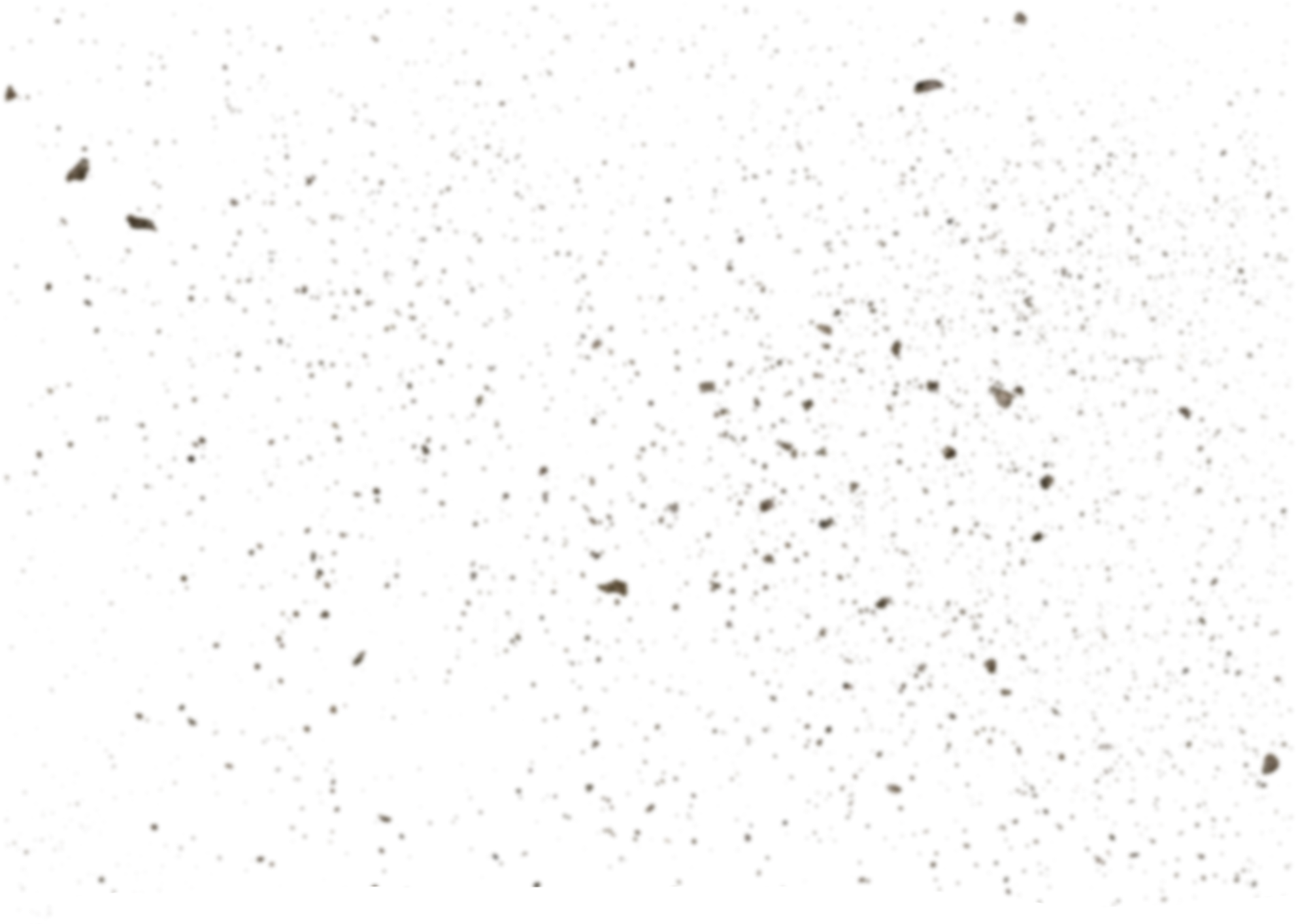 Dust PNG HQ Image pngteam.com