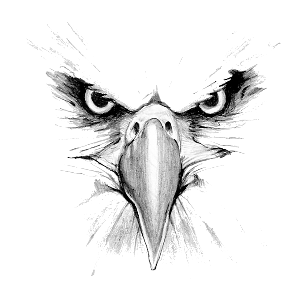 Eagle PNG Image in High Definition pngteam.com